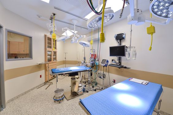 簡約寵物醫(yī)院裝修設(shè)計(jì)-第5張圖片-上海古都建筑設(shè)計(jì)集團(tuán)