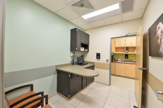 簡約寵物醫(yī)院裝修設(shè)計(jì)-第3張圖片-上海古都建筑設(shè)計(jì)集團(tuán)