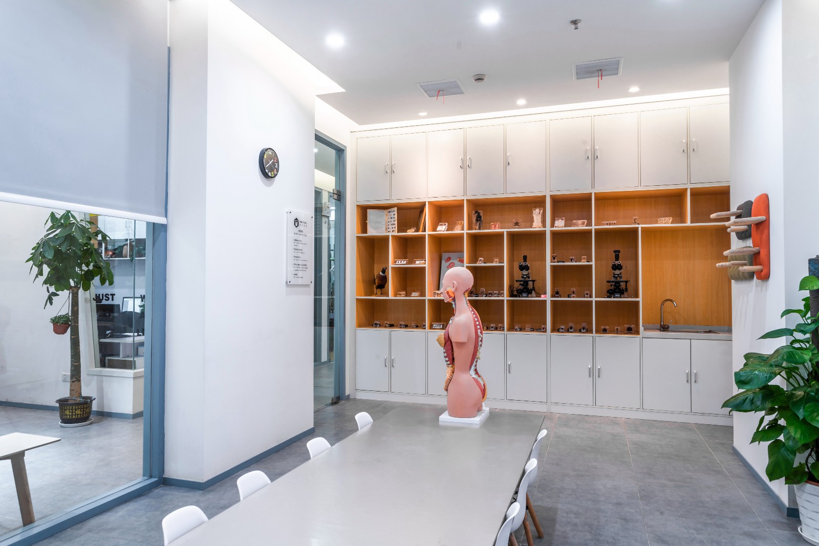 簡(jiǎn)約英語(yǔ)教育機(jī)構(gòu)裝修設(shè)計(jì)-第5張圖片-上海古都建筑設(shè)計(jì)集團(tuán) 簡(jiǎn)約英語(yǔ)教育機(jī)構(gòu)裝修設(shè)計(jì)-第5張圖片-上海古都建筑設(shè)計(jì)集團(tuán)